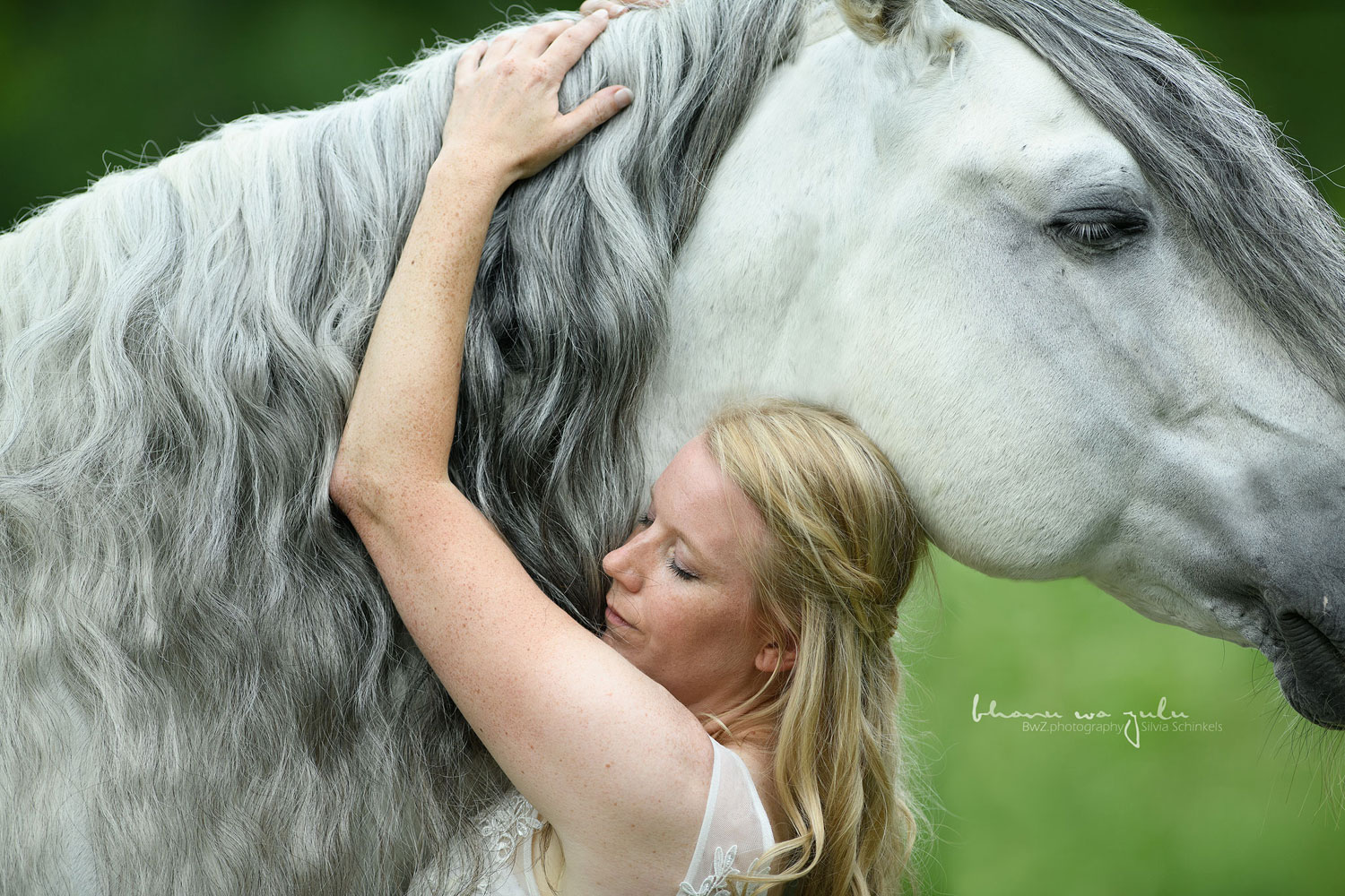 Pferdefotografie